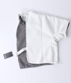 Plastron2.jpg